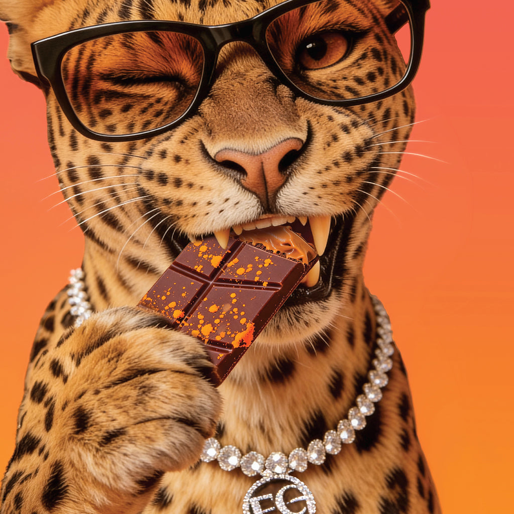 Felora Karak Spice chocolate bar — campaign portrait