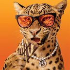 Felora Crunchy Hazelnut chocolate bar — campaign portrait